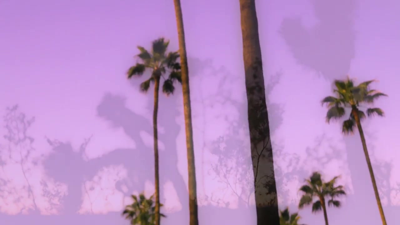 California Nights